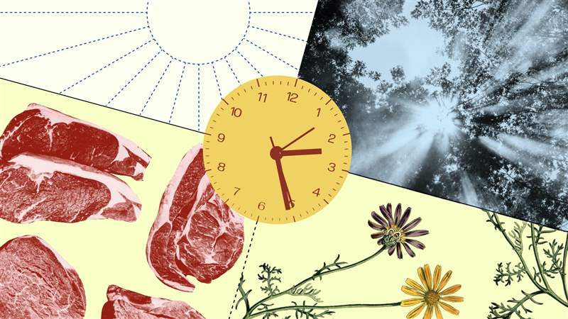 夏令時是一種快樂和祝福-復刻表